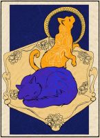 Nouveu Cats in Box
